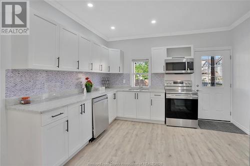 580 Bruce Avenue, Windsor, ON - Indoor Photo Showing Kitchen With Upgraded Kitchen