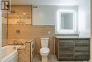 227 Litzenberger Crescent, Regina, SK  - Indoor Photo Showing Bathroom 