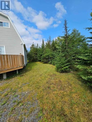 288 Middle Gull Pond Road, Middle Gull Pond, NL - Outdoor