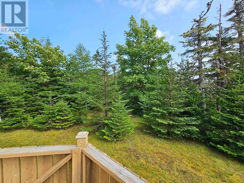 288 Middle Gull Pond Road, Middle Gull Pond, NL - Outdoor