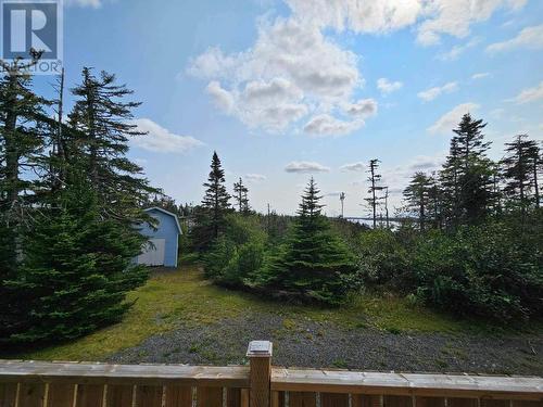 288 Middle Gull Pond Road, Middle Gull Pond, NL - Outdoor With View