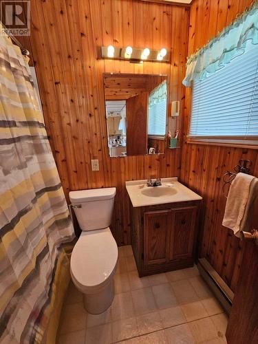 288 Middle Gull Pond Road, Middle Gull Pond, NL - Indoor Photo Showing Bathroom