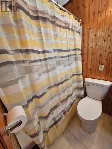 288 Middle Gull Pond Road, Middle Gull Pond, NL - Indoor Photo Showing Bathroom