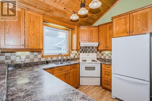 72 Essex Street, Guelph, ON - Indoor Photo Showing Kitchen With Double Sink