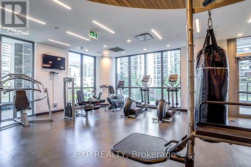 1010 - 56 Forest Manor Road, Toronto, ON - Indoor Photo Showing Gym Room
