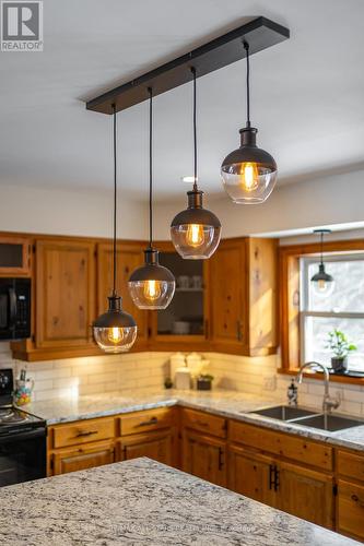 930 Killarney Bay Road, Kawartha Lakes (Cameron), ON - Indoor Photo Showing Kitchen With Double Sink