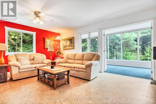 1207 County 23 Road, Alnwick/Haldimand, ON - Indoor Photo Showing Living Room