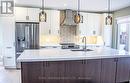138 Shrike Road, Kawartha Lakes, ON  - Indoor Photo Showing Kitchen With Upgraded Kitchen 