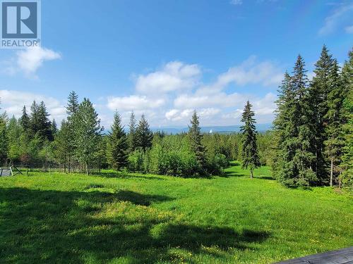 954 Barkerville Highway, Quesnel, BC - Outdoor With View