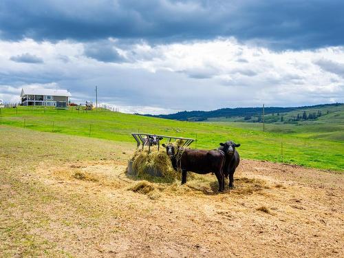 Farm-3650 Princeton Kaml Hwy, Kamloops, BC - Outdoor With View