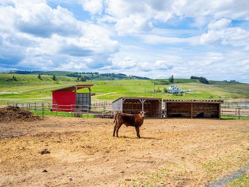 Farm-3650 Princeton Kaml Hwy, Kamloops, BC - Outdoor With View