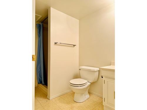 2411 2Nd Street N, Cranbrook, BC - Indoor Photo Showing Bathroom