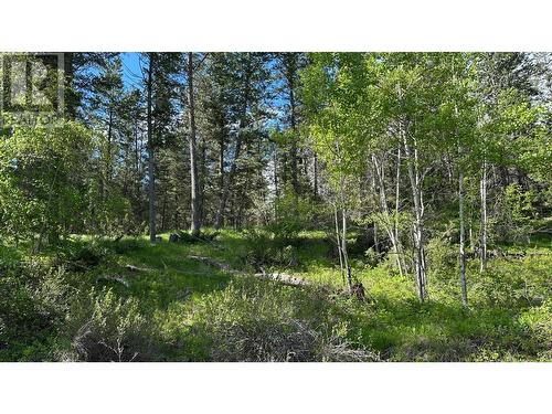 Lot 18 Rio Vista Pt, Fairmont Hot Springs, BC 