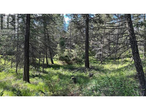 Lot 18 Rio Vista Pt, Fairmont Hot Springs, BC 