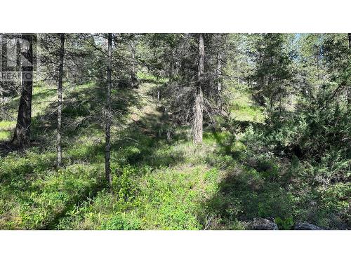 Lot 18 Rio Vista Pt, Fairmont Hot Springs, BC 