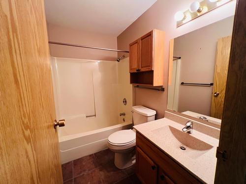 6 - 7981 Radium Golf Course Road, Radium Hot Springs, BC - Indoor Photo Showing Bathroom