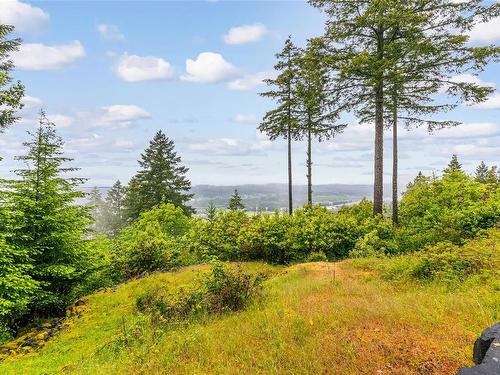 5095 Aho Rd, Ladysmith, BC - Outdoor With View