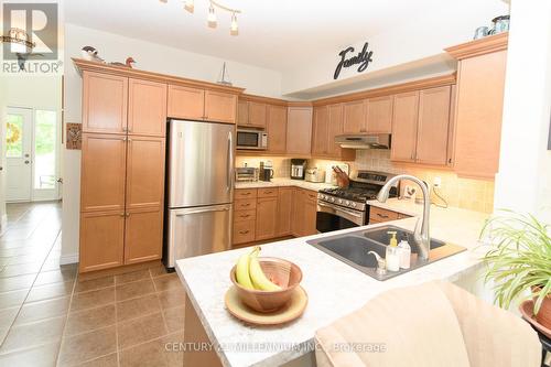 310 Holden Street, Collingwood, ON - Indoor Photo Showing Kitchen With Double Sink