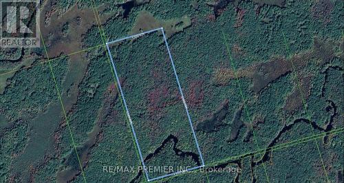 Lot 11 Concession G, Ramara (Brechin), ON 