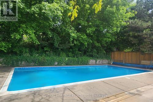 147 Grandview Street, Oshawa, ON - Outdoor With In Ground Pool With Backyard