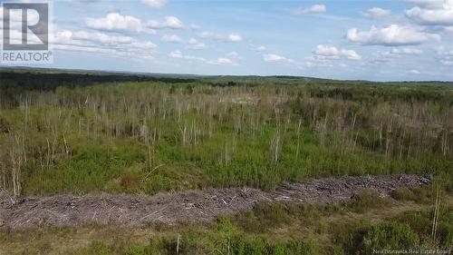 Lot 9 Tobin Road, Elmwood, NB 