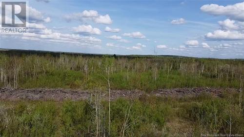 Lot 9 Tobin Road, Elmwood, NB 