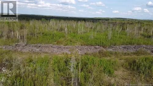 Lot 9 Tobin Road, Elmwood, NB 