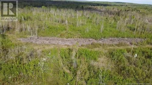 Lot 9 Tobin Road, Elmwood, NB 