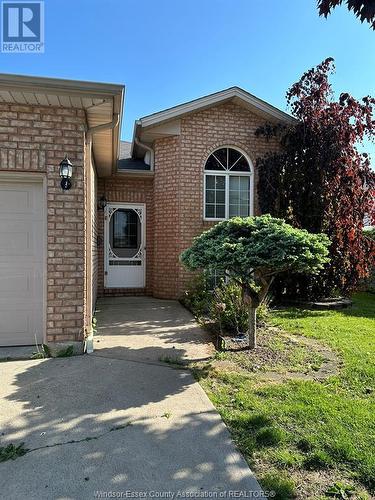 157 Victoria, Kingsville, ON - Outdoor