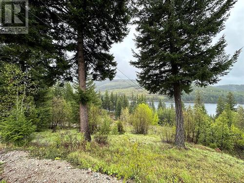 4176 Princeton/S'Land Road, Princeton, BC - Outdoor With View