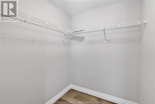 729 Brownstone Drive, Lakeshore, ON - Indoor With Storage