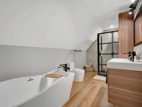 Ensuite bathroom - 8 Ch. Grace, Arundel, QC - Indoor Photo Showing Kitchen