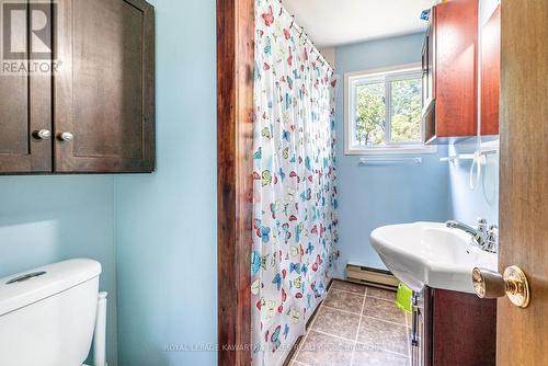 13 Eva Street, Kawartha Lakes, ON - Indoor Photo Showing Bathroom