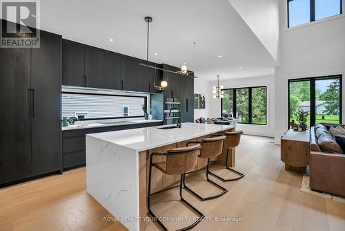 83 Rose Street, Georgina, ON - Indoor Photo Showing Kitchen With Upgraded Kitchen