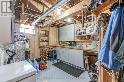 23670 Mccowan Road, Georgina, ON - Indoor Photo Showing Basement