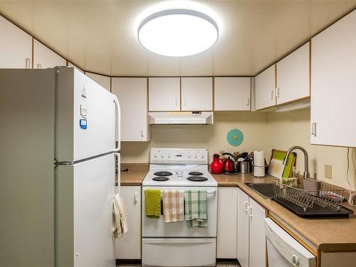 1030 St. Charles St, Victoria, BC - Indoor Photo Showing Kitchen