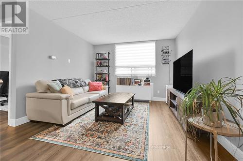 109 - 99 Donn Avenue, Hamilton, ON - Indoor Photo Showing Living Room