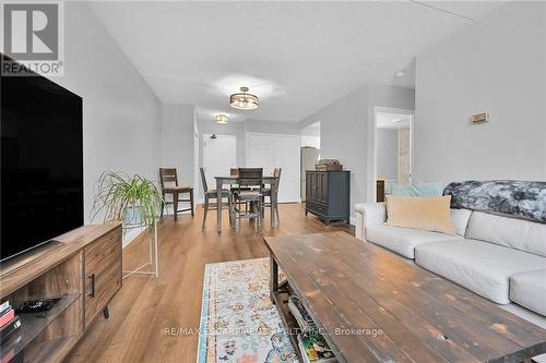 109 - 99 Donn Avenue, Hamilton, ON - Indoor Photo Showing Living Room