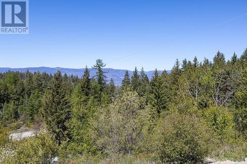 4661 June Springs Road, Kelowna, BC - Outdoor With View