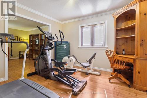 391 March Crescent, Oakville, ON - Indoor Photo Showing Gym Room