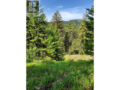 4340 Highway 33 Highway, Beaverdell, BC - Outdoor With View