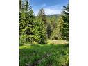 4340 Highway 33 Highway, Beaverdell, BC  - Outdoor With View 