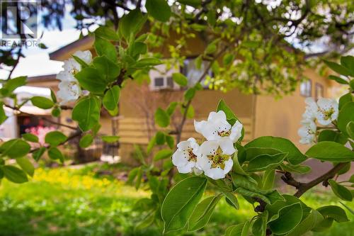 3606 Old Okanagan Highway, West Kelowna, BC - Outdoor With View