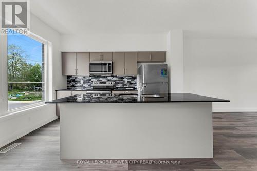 168 Huron Street, Guelph, ON - Indoor Photo Showing Kitchen