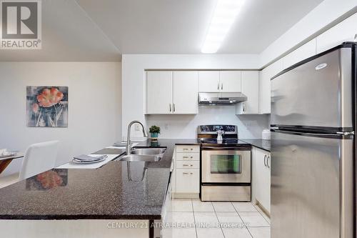 317 - 503 Beecroft Road, Toronto, ON - Indoor Photo Showing Kitchen With Double Sink With Upgraded Kitchen