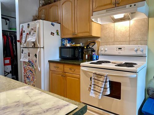 301 - 2126 68Th Avenue, Grand Forks, BC - Indoor Photo Showing Kitchen