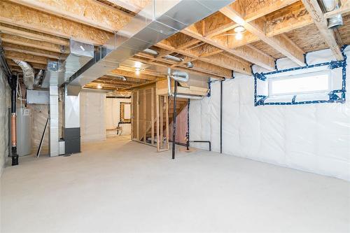 14 Saddle Creek Cove, Winnipeg, MB - Indoor Photo Showing Basement