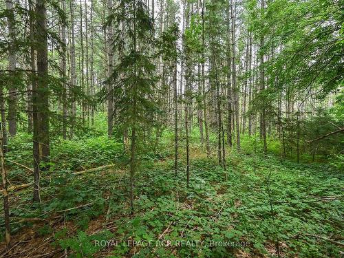 Lot 437 South River Rd, Centre Wellington, ON 