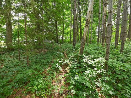 Lot 441 South River Rd, Centre Wellington, ON 