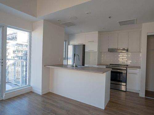 Autre - 223-2542 Place Pierre-Falardeau, Montréal (Rosemont/La Petite-Patrie), QC - Indoor Photo Showing Kitchen With Upgraded Kitchen